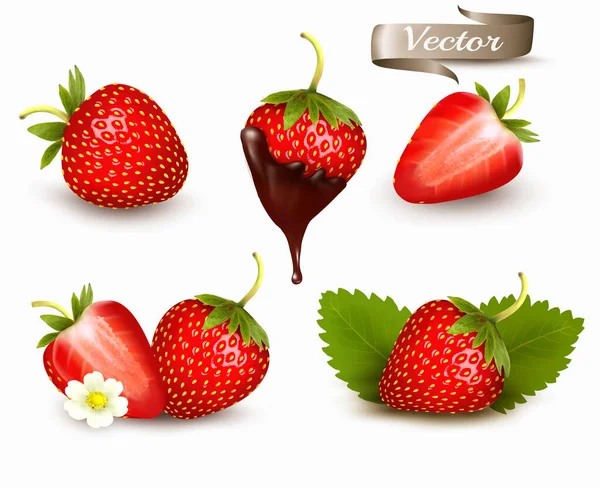 Whole Slice Strawberry Strawberry Chocolate Realistic Transparent Isolated Vector Set — Stock Vector
