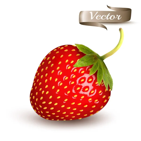 Entier Tranche Fraise Vecteur Isolé Transparent Réaliste — Image vectorielle