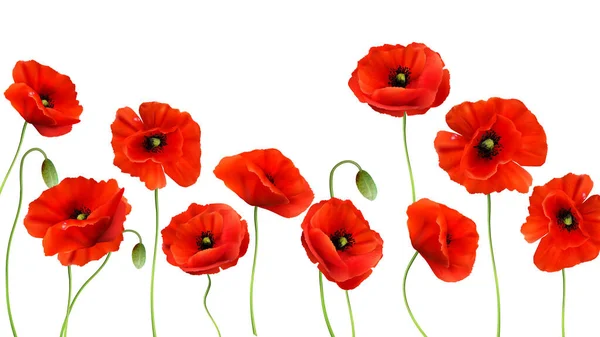 Red Poppy Background Realistic Vector — Stock Vector