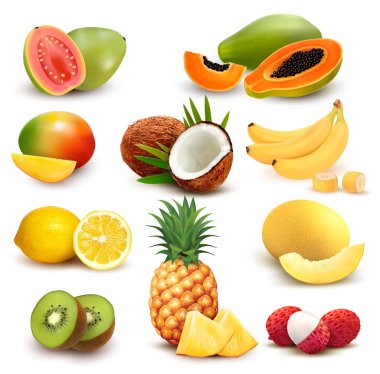 Egzotik meyve ve dut koleksiyonu. Papaya, guava, limon, muz, mango, hindistan cevizi, kivi, guava, kavun, liçi, ananas. Vektör Ayarları.