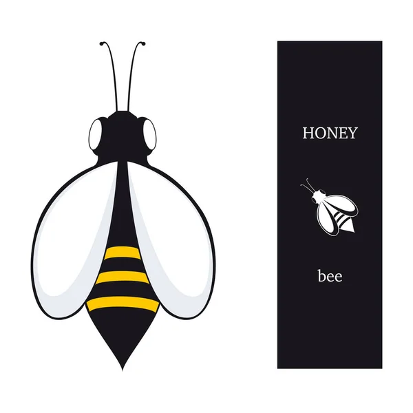 蜜蜂 — 图库矢量图片#