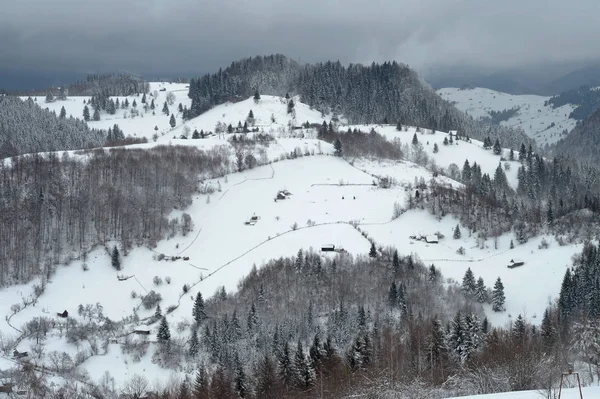 Snötäckta Träd Bergen Vackert Vinterlandskap Winter Forest — Stockfoto