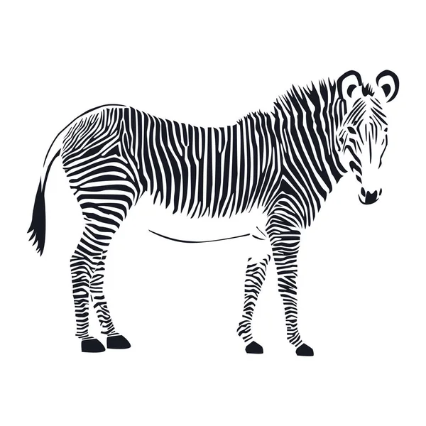 Cebra, animal africano. Ilustración vectorial. Solo rayas negras — Archivo Imágenes Vectoriales