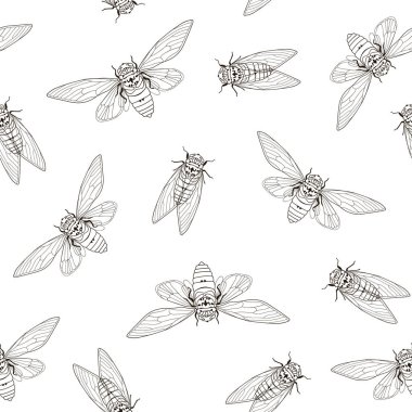 Cicada dikişsiz desen, entomoloji tekstil baskı, vektör illüstrasyon