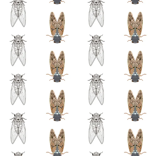 Cicada Dikişsiz Desen Entomoloji Tekstil Baskı Vektör Illüstrasyon — Stok Vektör