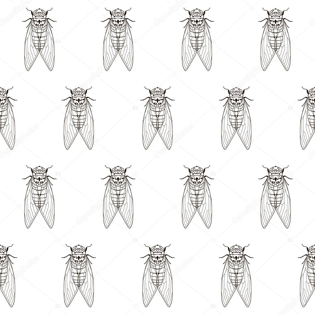Cicada seamless pattern, entomology textile print, vector illustration