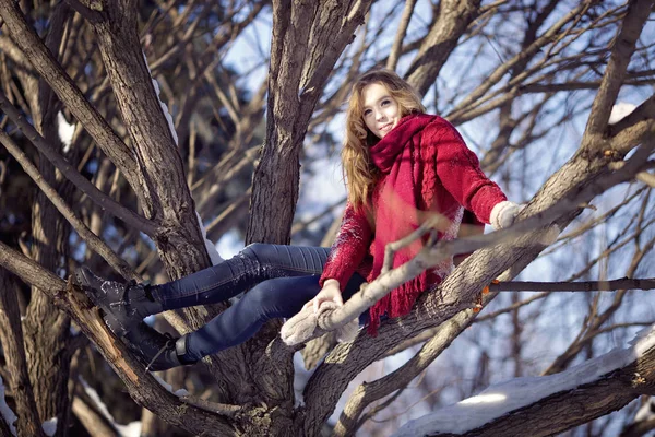 Fiatal Lány Egy Téli Séta Fekete Kutya — Stock Fotó