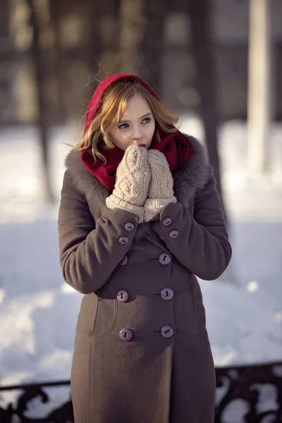 Jong Meisje Een Winter Lopen Met Zwarte Hond — Stockfoto