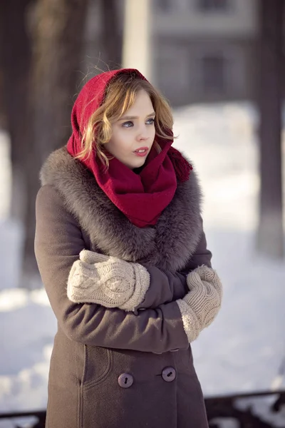 Young Girl Winter Walk Black Dog — Stock Photo, Image