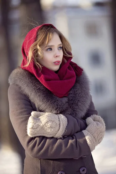 young girl on a winter walk  with black dog