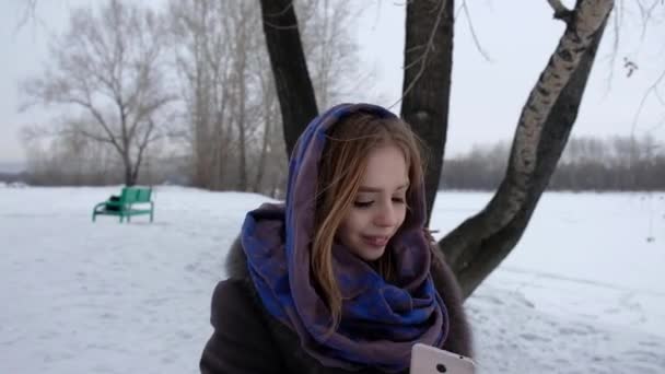 Giovane Ragazza Una Passeggiata Invernale — Video Stock