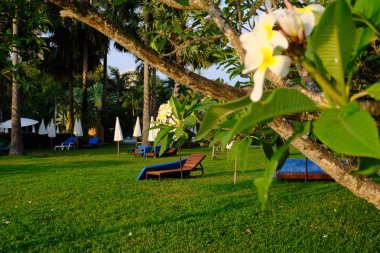 Sıcak denizde tatil tropikal