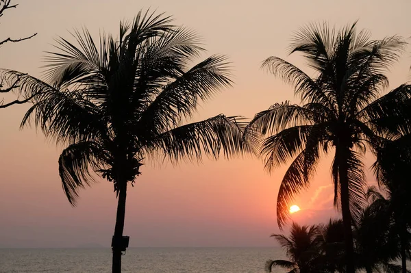 Sunset Seashore Thailand Palm Trees Beach — Stock Photo, Image