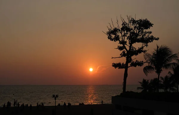 泰国海滨的日落 棕榈树和海滩 — 图库照片