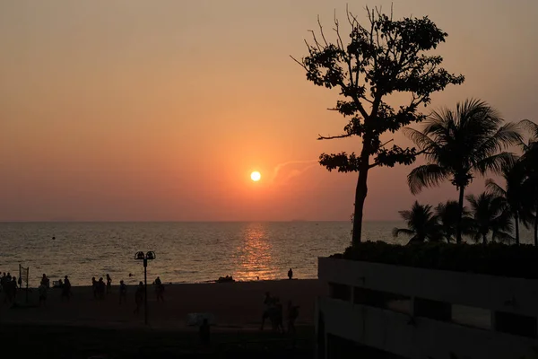 Sonnenuntergang Meer Thailand Palmen Und Der Strand — Stockfoto