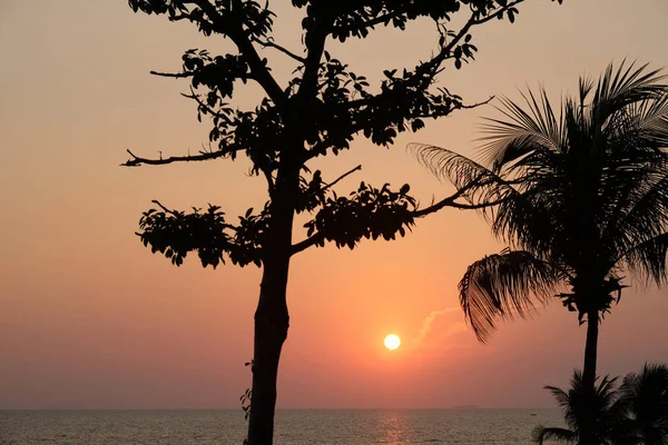 Puesta Sol Orilla Del Mar Tailandia Palmeras Playa — Foto de Stock