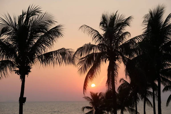 タイの海辺の夕日 ヤシの木とビーチ — ストック写真