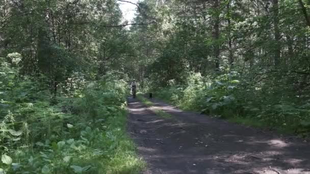 Fédération Russie Kuzbass Juillet 2020 Compétition Bikejoring Dans Forêt Husky — Video