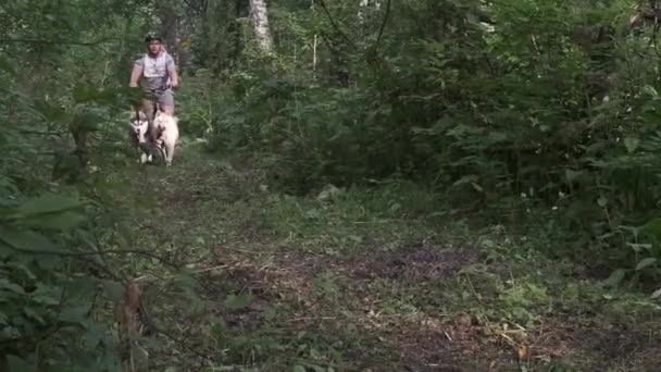 Federação Russa Kuzbass Julho 2020 Bikejoring Competição Floresta Casca Siberiana — Vídeo de Stock