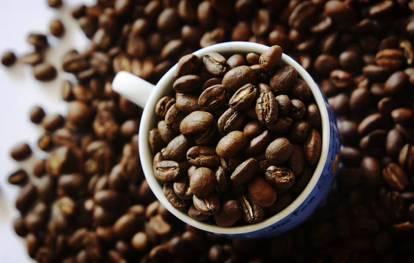 Dağınık kahve çekirdekleri ile güzel arka plan