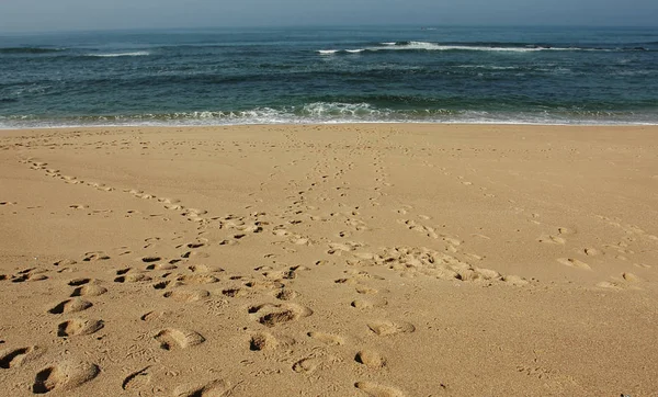 Bela Praia Oceânica Portugal — Fotografia de Stock