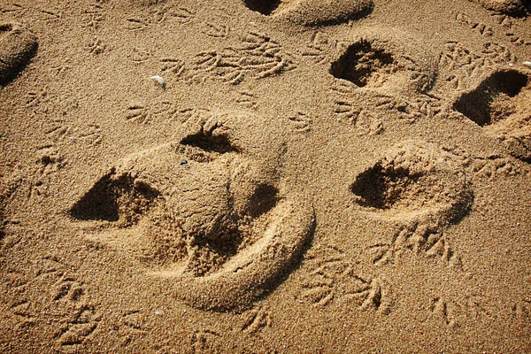 Bela Praia Oceânica Portugal — Fotografia de Stock