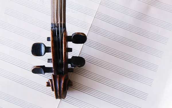 Beautiful Old Violin Note Paper — Stock Photo, Image