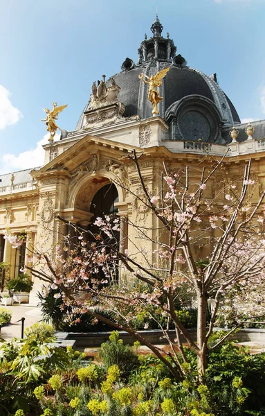 Paris Güzel Petit Palace Bahçe — Stok fotoğraf