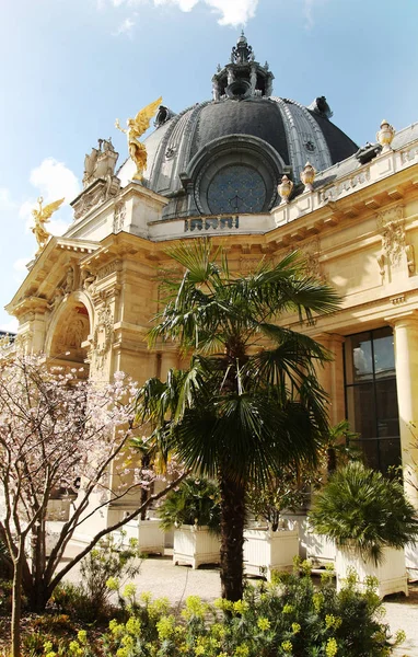 Paris Güzel Petit Palace Bahçe — Stok fotoğraf