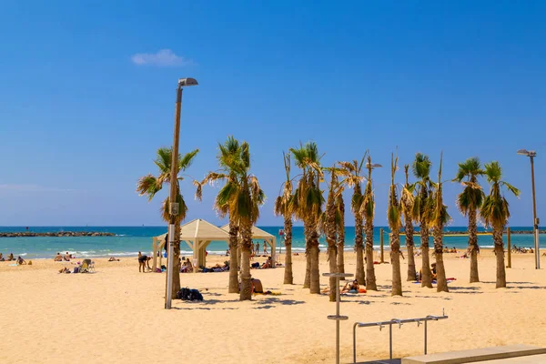 Tel Aviv beach, Izrael — Stock Fotó