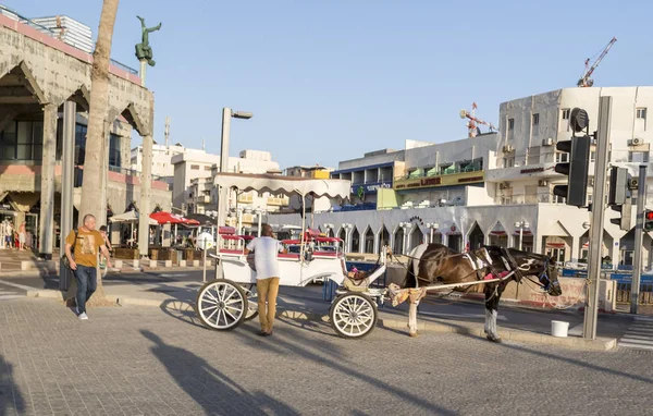 Tel Aviv Israel Juni 2018 Dras Samma Häst Transport Och — Stockfoto
