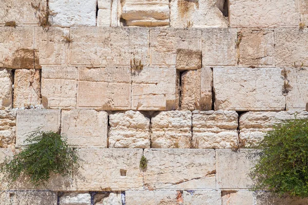 Texture detail from the Western Wall or the Wailing Wall in Jerusalem, Israel