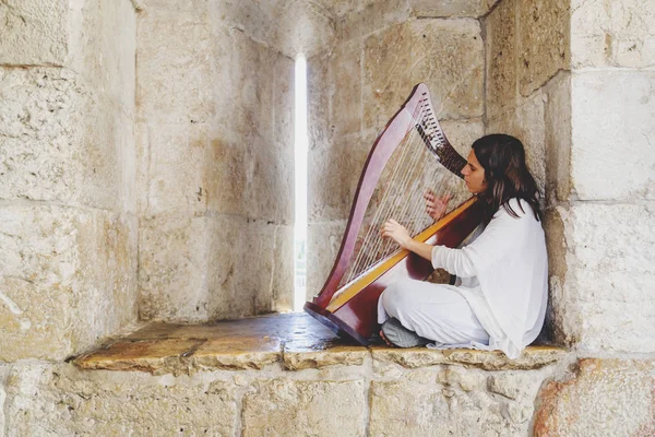 Ιερουσαλήμ Ισραήλ Ιουνίου 2018 Οδός Μουσικός Παίζοντας Μια Άρπα Σχετικά — Φωτογραφία Αρχείου