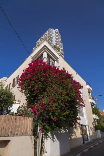 Tel Aviv Israel Junho 2018 Edifício Exteriores Ruas Distrito Neve — Fotografia de Stock