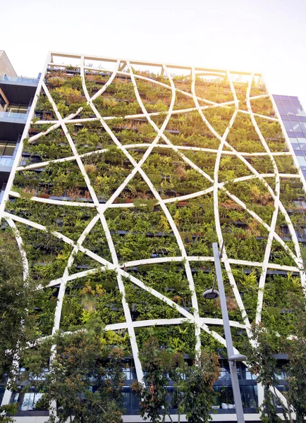 Building covered with vertical garden facade in Tel Aviv
