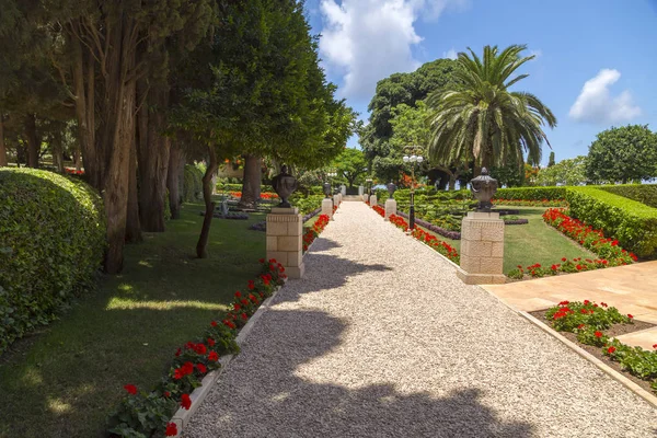 美しい植物や木 観賞用マウント カーメル ハイファ イスラエルの斜面にバハイ庭園の美化 — ストック写真