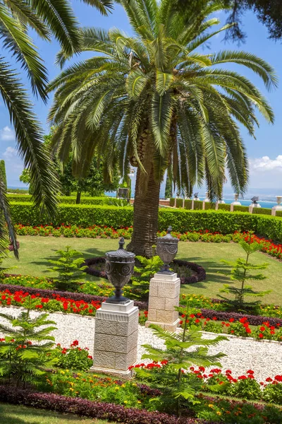 Hermosas Plantas Árboles Jardines Ornamentales Los Jardines Baha Las Laderas — Foto de Stock