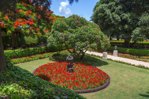 Wunderschöne Pflanzen Und Bäume Dekorative Gartengestaltung Baha Gärten Den Hängen — Stockfoto