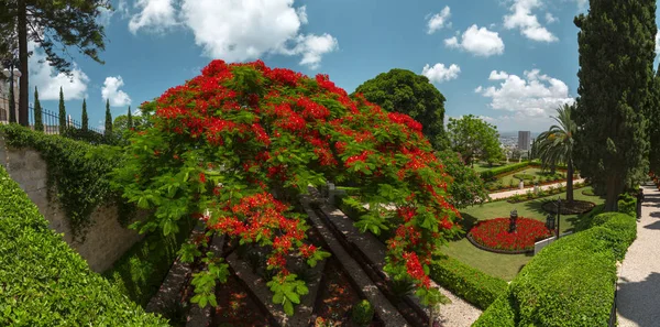 Belo Paisagismo Nos Jardins Bahai Uma Peregrinação Sagrada Para Crentes — Fotografia de Stock