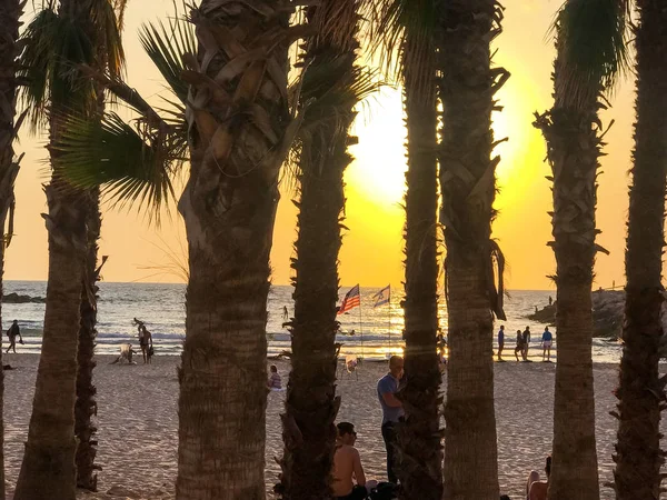 Tel Aviv Israel June 2018 Beach Promenade Tel Aviv Locals — Stock Photo, Image