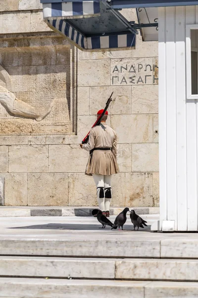 Soldados Gregos Evzones Vestidos Com Uniformes Tradicionais Refere Aos Membros — Fotografia de Stock