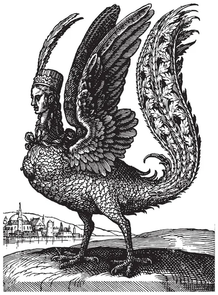 Vintage Engraving Mythological Character Harpy Half Human Half Bird Creature — Stock Vector