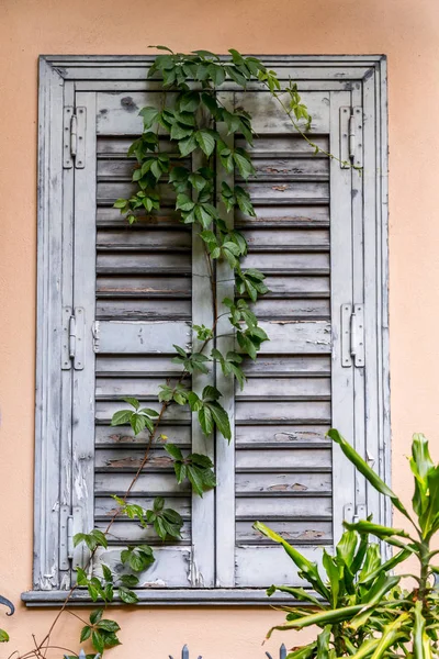 Ventanas Con Persianas Madera Verde Detalle Arquitectónico —  Fotos de Stock