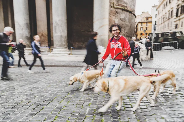 Homem passeando cães em torno de Panteão em Roma, Itália — Fotografia de Stock