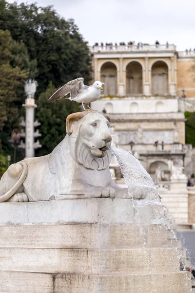 Piazza del popolo en roma, italia —  Fotos de Stock