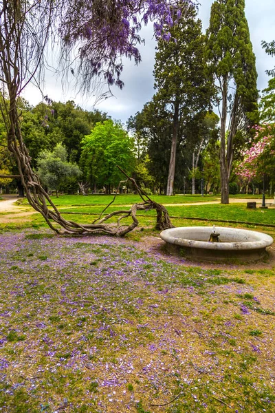 Villa borghese bahçeleri, Roma — Stok fotoğraf