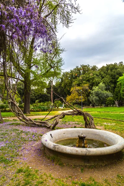 Tuinen van Villa borghese in rome — Stockfoto