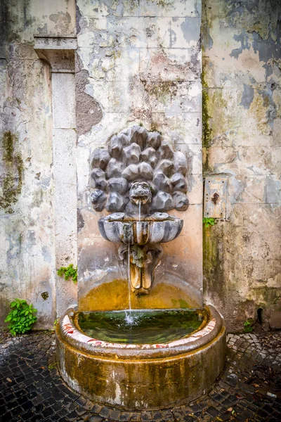 Giardini di Villa Borghese a Roma — Foto Stock