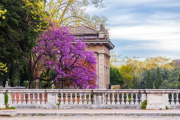 Tuinen van Villa borghese in rome — Stockfoto