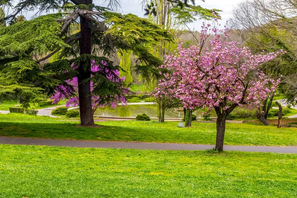 Villa Borghese Jardins em Roma — Fotografia de Stock